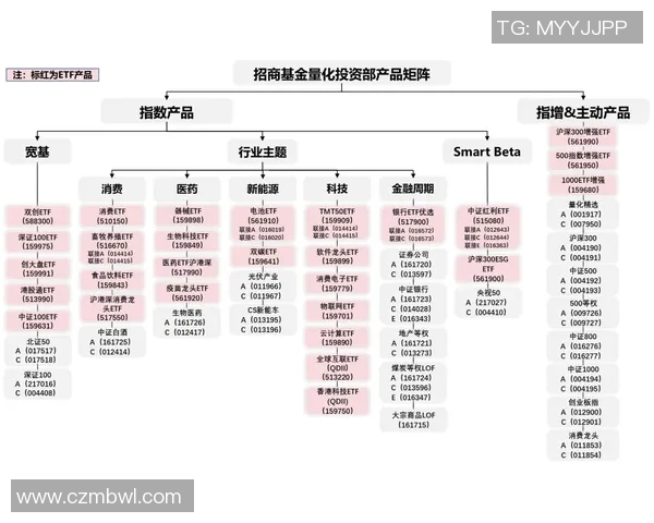 竞技体操评分体系的演变与影响因素分析探讨